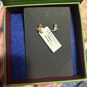 Alex and Ani Gold and Silver Cosmic Cowgirl Earrings Set